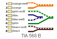 IT EDV Netzwerk Belegung nach TIA 568 B